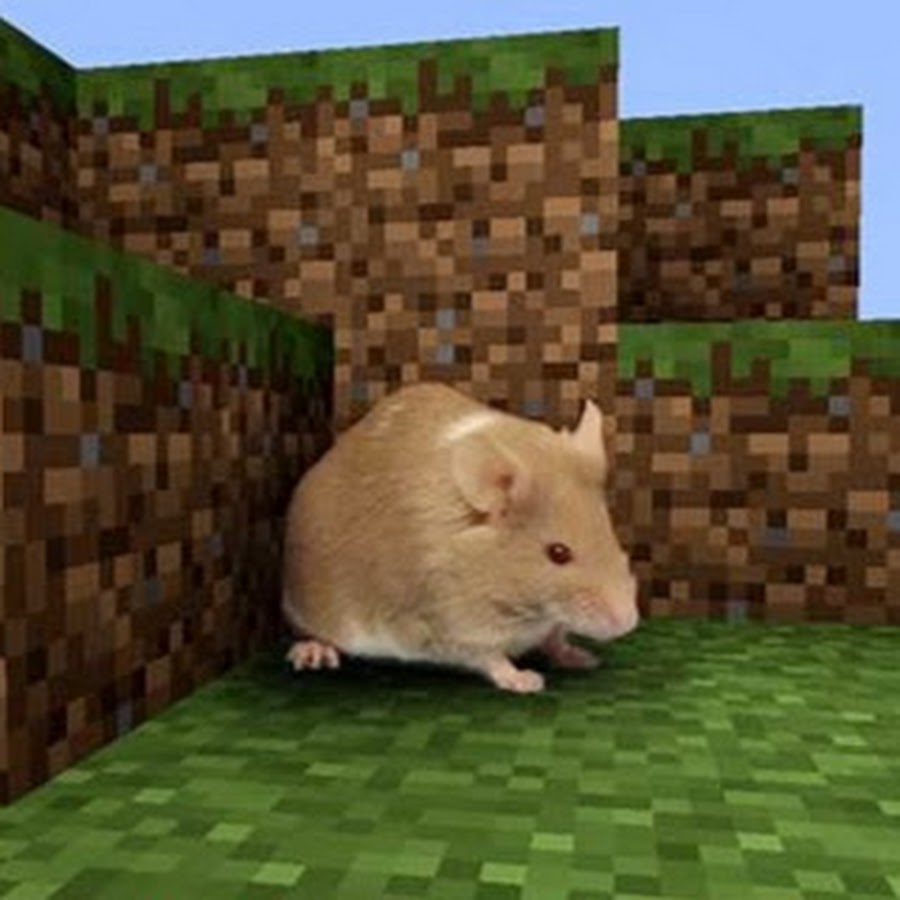 крысы из мода rats. крыса в майнкрафте. крыса в майнкрафте. мод крысы 1. Mocreatures 1.