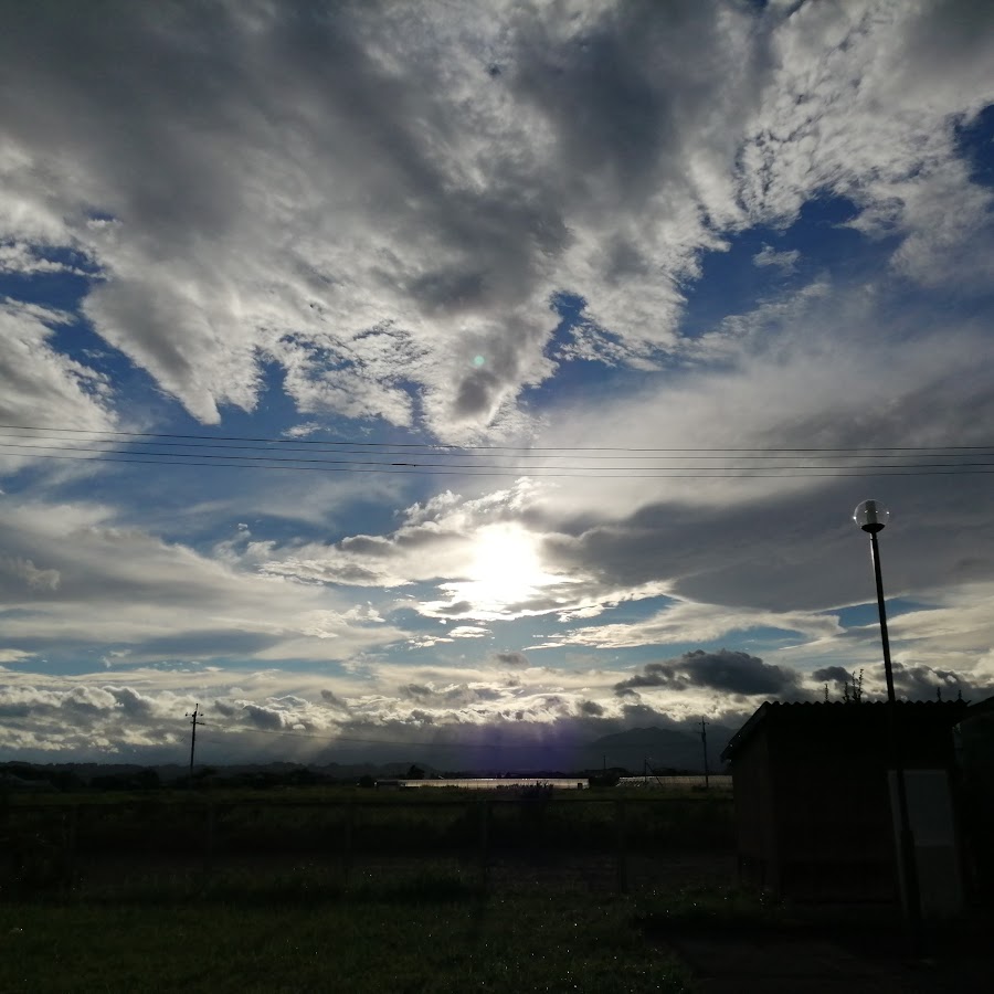 小泉知佳子 Youtube