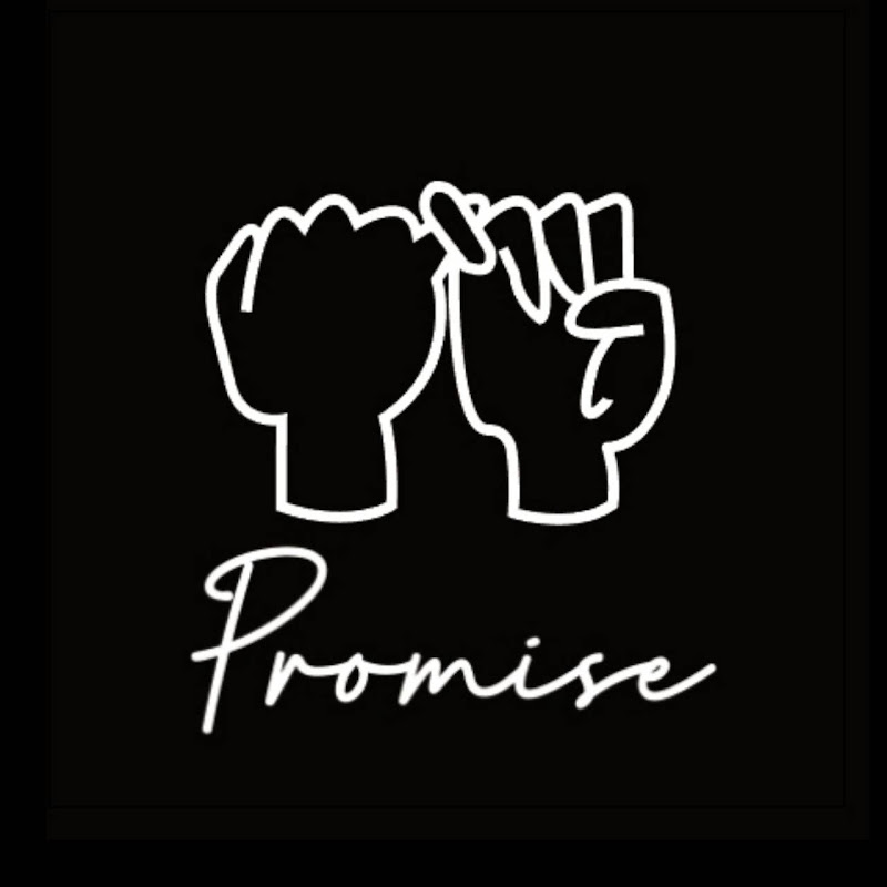 Logo for Promise