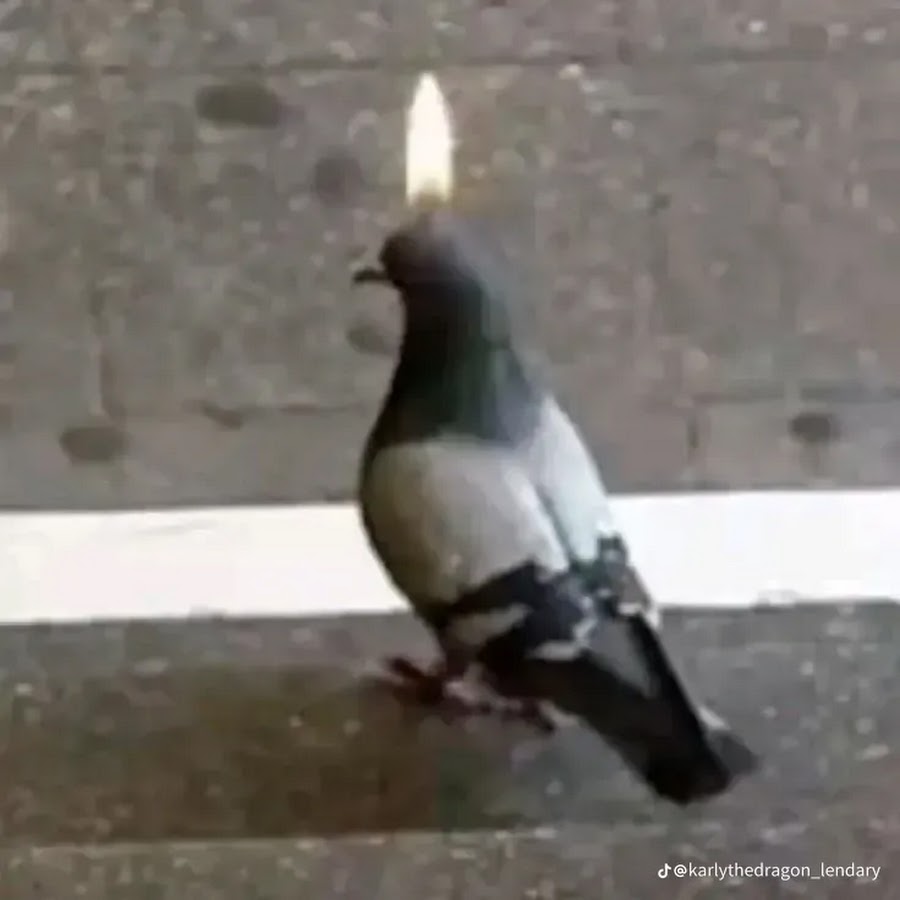 I need something else. I need something else. Somethingelseyt. I need something else. Im something else арты.