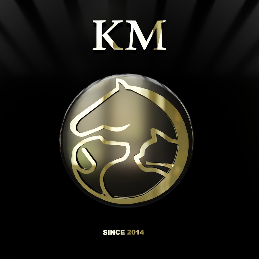 Km Pets Clinic Youtube