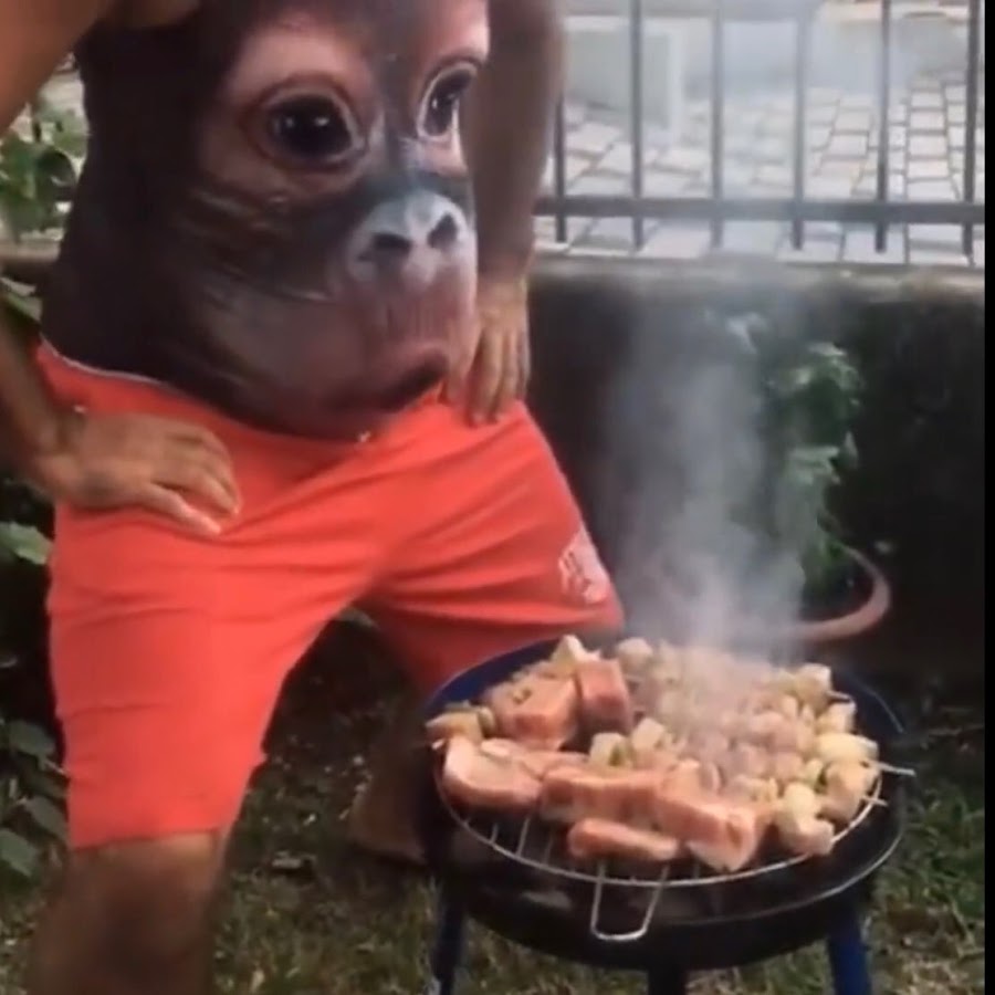 Смешной шашлык с глазами