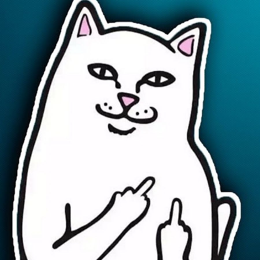 Кот с факом рисунок