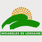 Pourquoi la mirabelle en Lorraine ?
