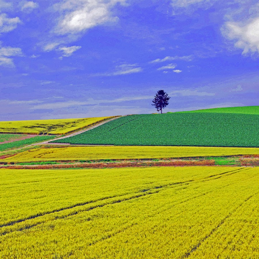 オニクニの癒し系風景写真チャンネル Youtube