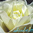Floating Leaf Imagery Avatar