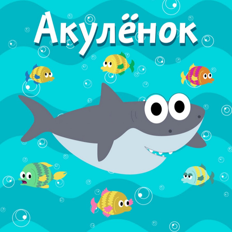 Акуленок туруруру картинки