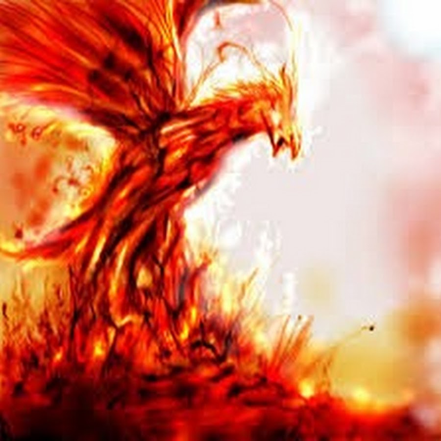 Феникса 17. Феникс. Птица Феникс. Огненный Феникс. Птица Феникс возрождается из пепла.