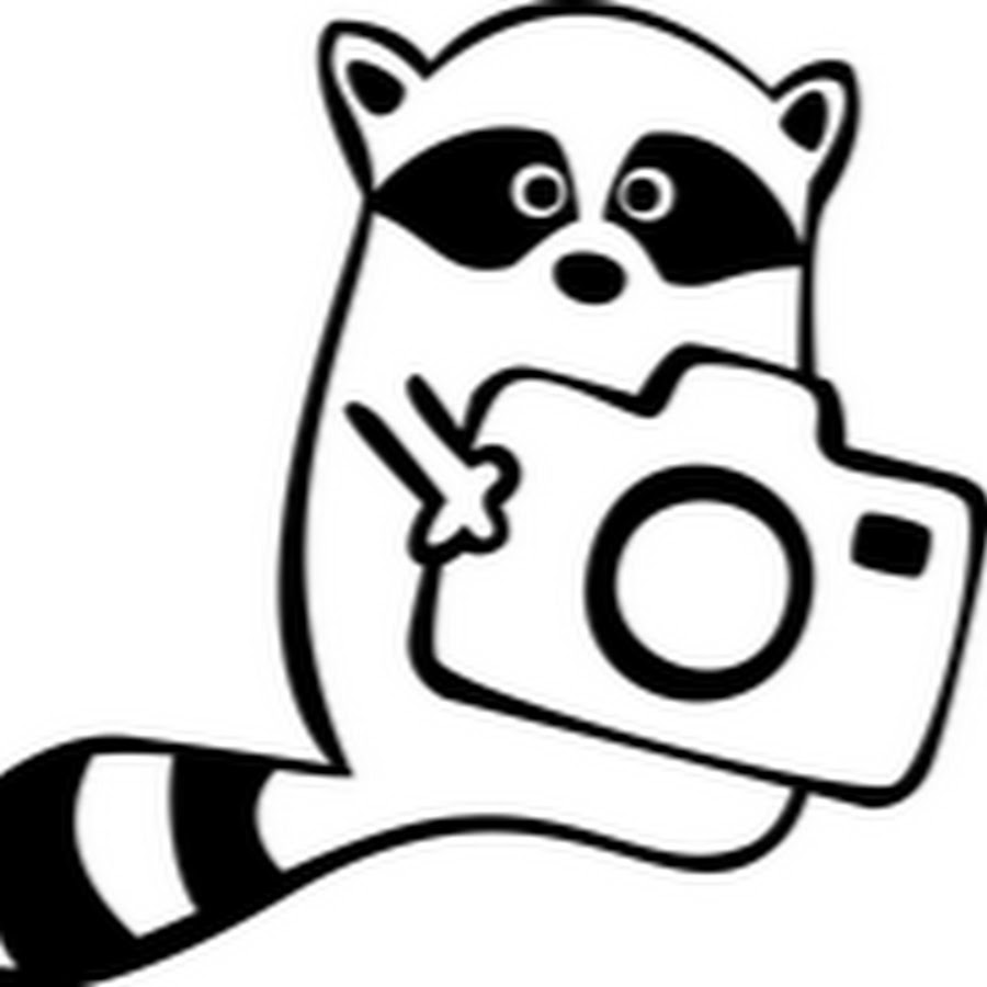 Кот с фотоаппаратом рисунок