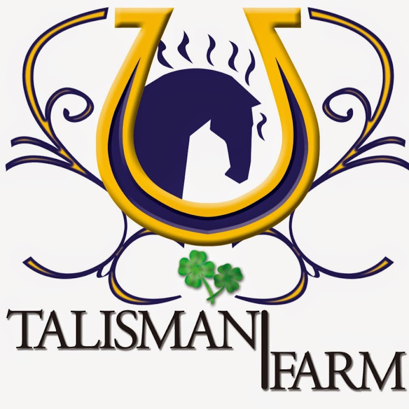 talismanfarmlv