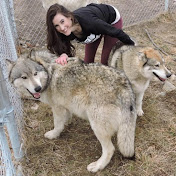 Sarah and the Wolves