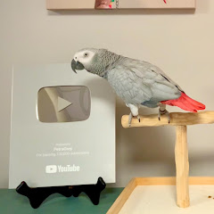 Thumbnail of related channel