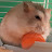 happyham tv