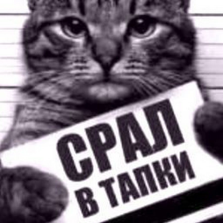 Кот с бумажками на лапах мем