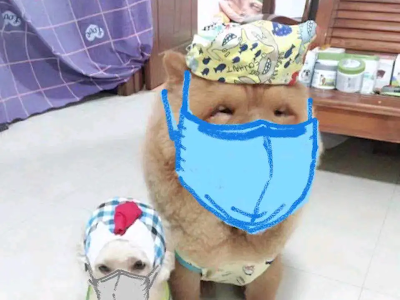 上 犬 肉球 色 190360-犬 肉球 色変わる