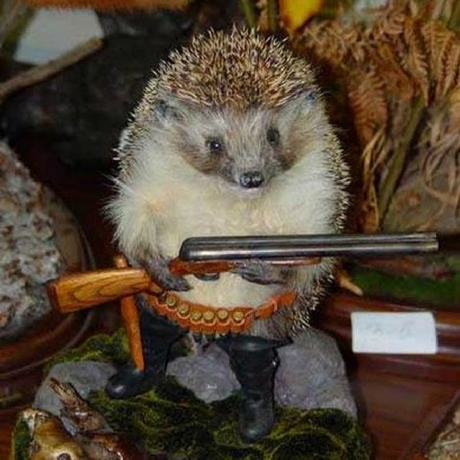 Ежик с ножом