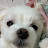 한서연