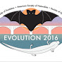 Evolution2016 Videos YouTube Profile Photo
