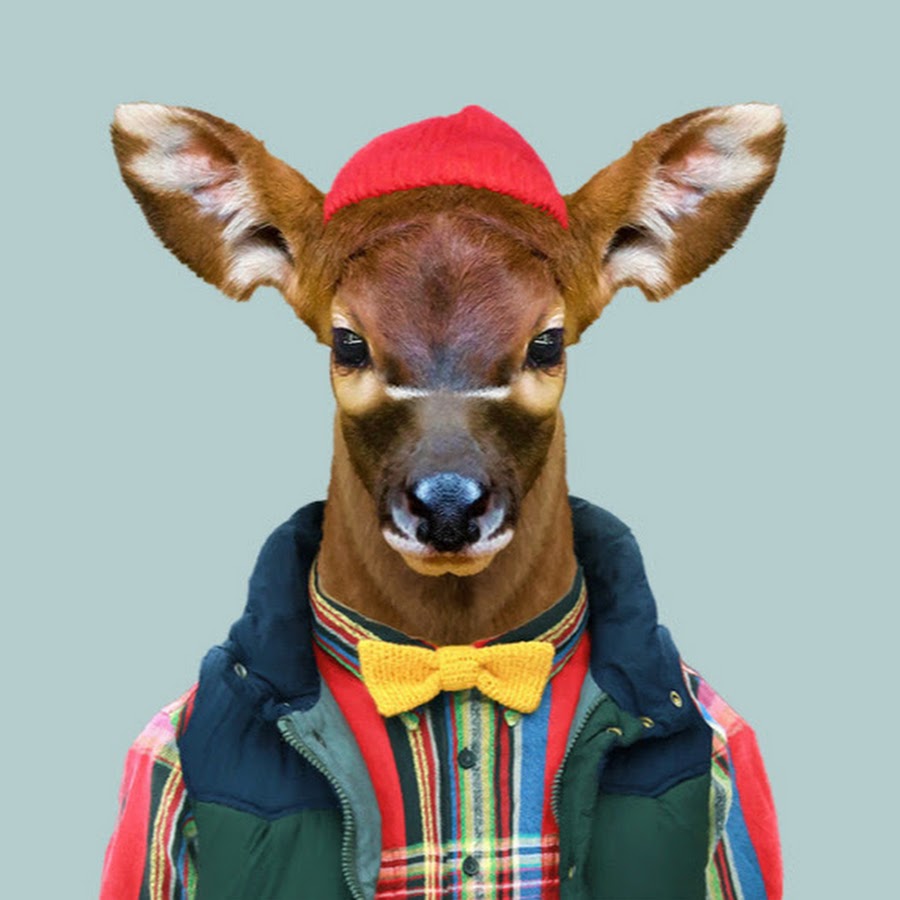 Портреты животных в одежде. Животные в одежде арт. Фурри люди в костюмах. Люди в костюмах животных на улице. Люди одеваются в животных.