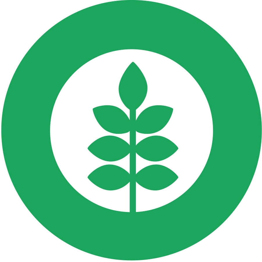 AKedOLQD094sDLR_HFdWOBqE6sOonurMknaiwhriiO=s900ckc0x00ffffffnorj