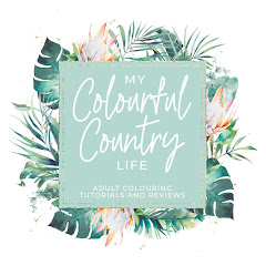 My Colourful Country Life net worth