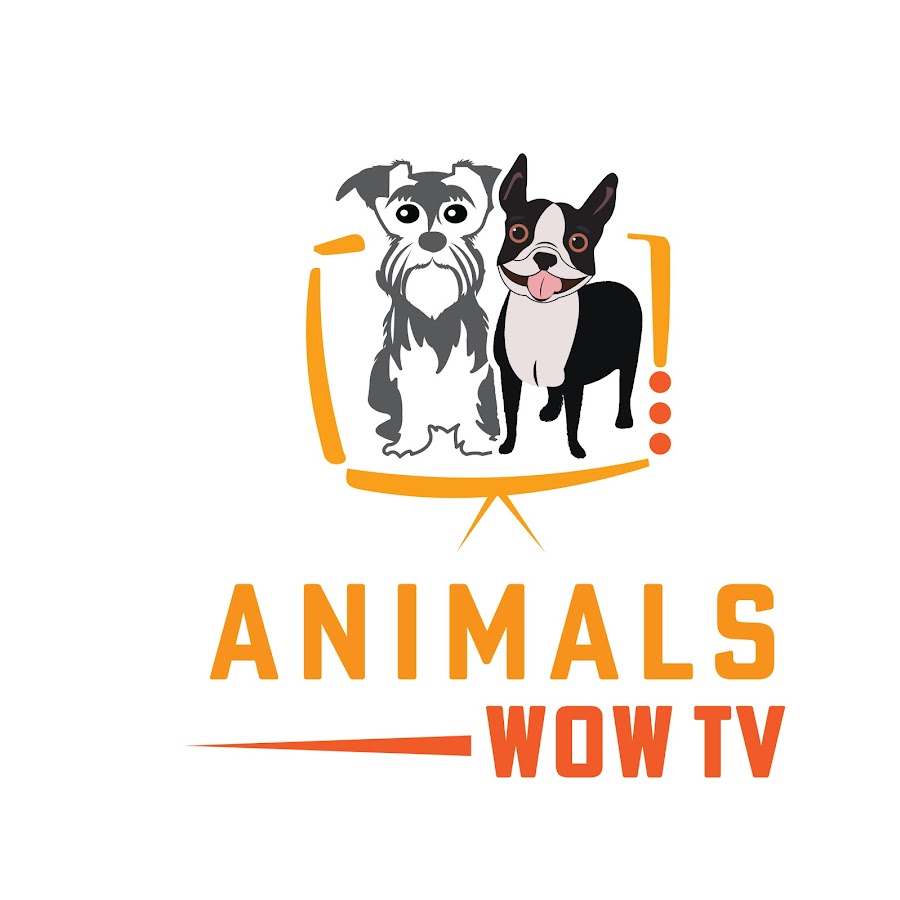 100M Animals WOW TV