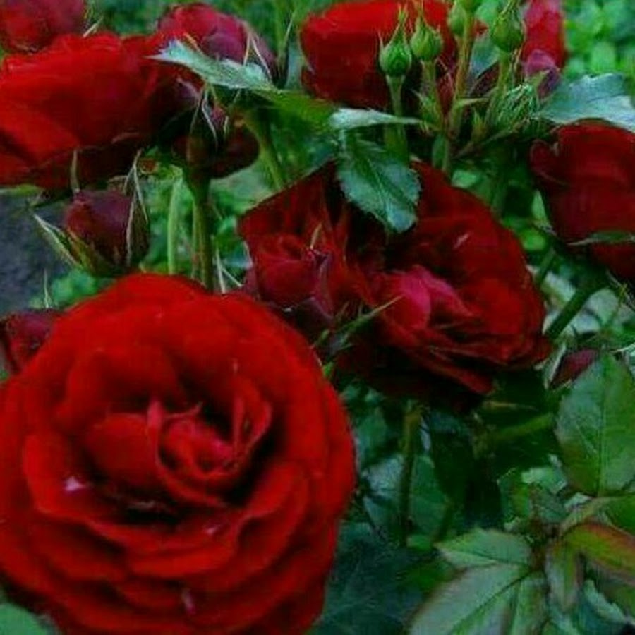 Татьяна Козина ВКонтакте