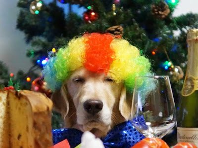 いろいろ わさびちゃん 画像 697079-わさびちゃん 画像