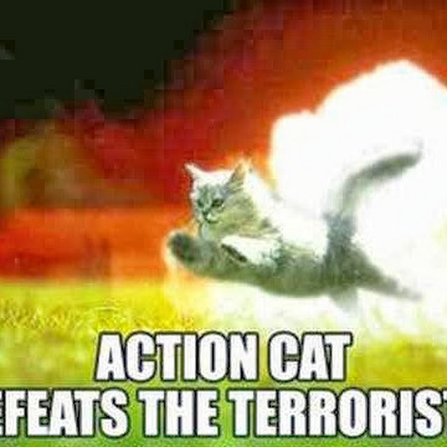 Cat runs funny. Смешной. Action cat. Bug (comics). Action cat.