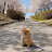 힛더로드_Hit the road