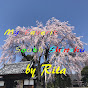 【by Rita】 My Faverit South Shinshu