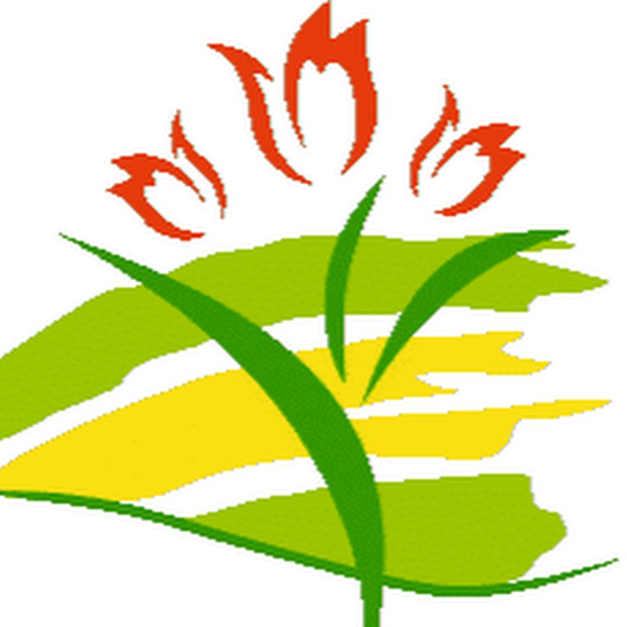 Степное спа оренбург. Степное спа оренбург орджоникидзе. Степное спа. Сауна степное спа оренбург. Степное спа.