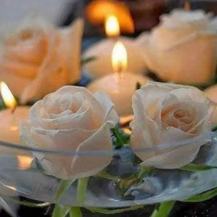 картинки со светлой памятью