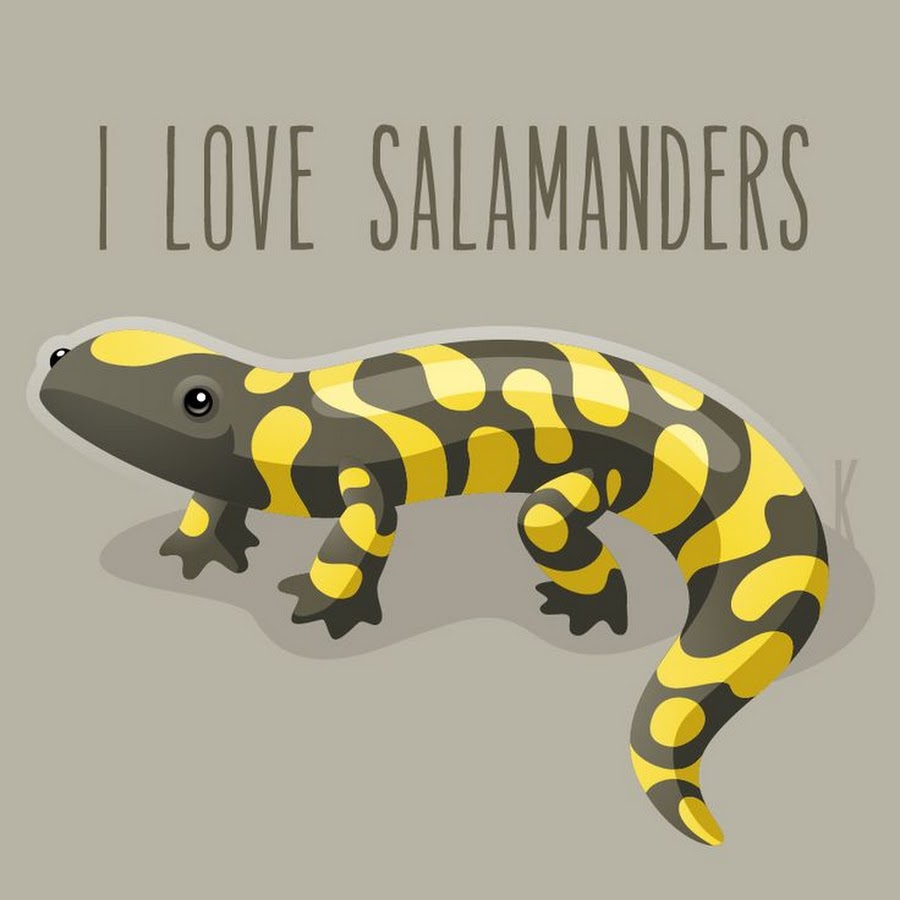 Саламандра ящерка арт