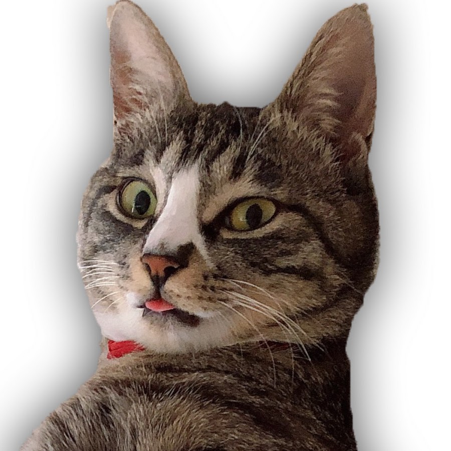 AKedOLQGt7qk2gOXL7i6IGUCM9LukdbmGFzVfRMX6zLzkg=s900ckc0x00ffffffnorj