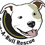 SaveABullMN - @SaveABullMN YouTube Profile Photo
