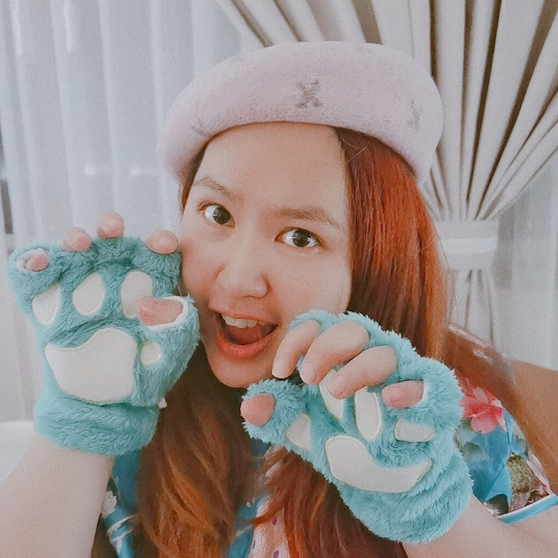 fanfan cat - 網紅的藏寶箱 