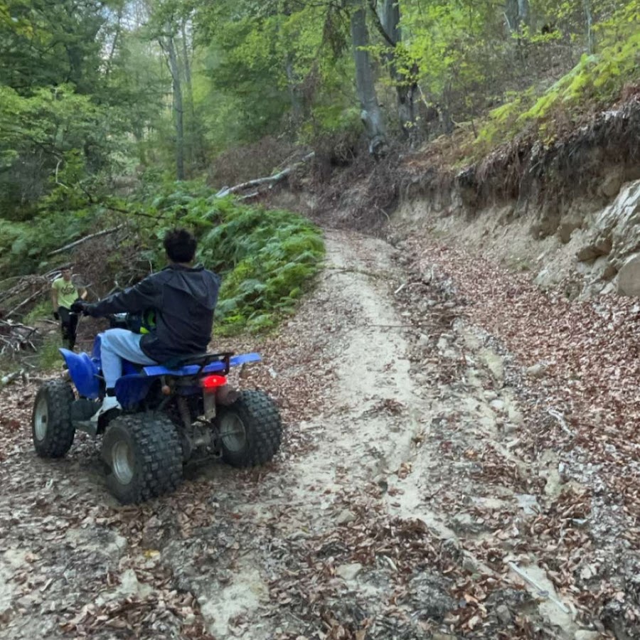 Железная гвардия румыния