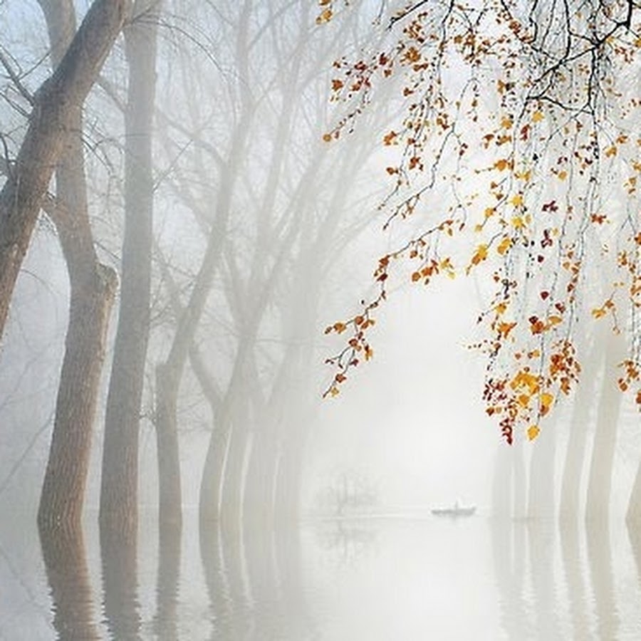 шуршащие листья картины. художник каримов картины. воспел красоту в мокрых ветках картина. калининградский писатель воспевающий красоту родной природы. ветка дерева живопись.