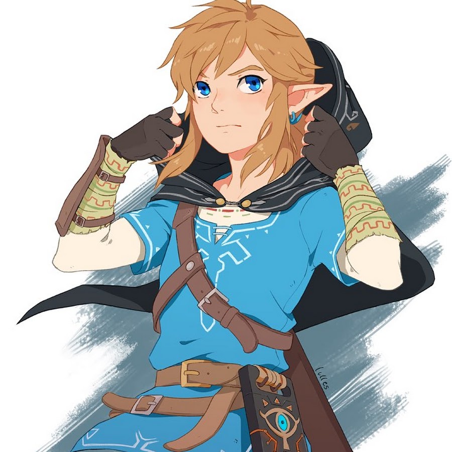 Zelda Breath of the Wild линк