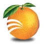 Who owns Orange Telecom?