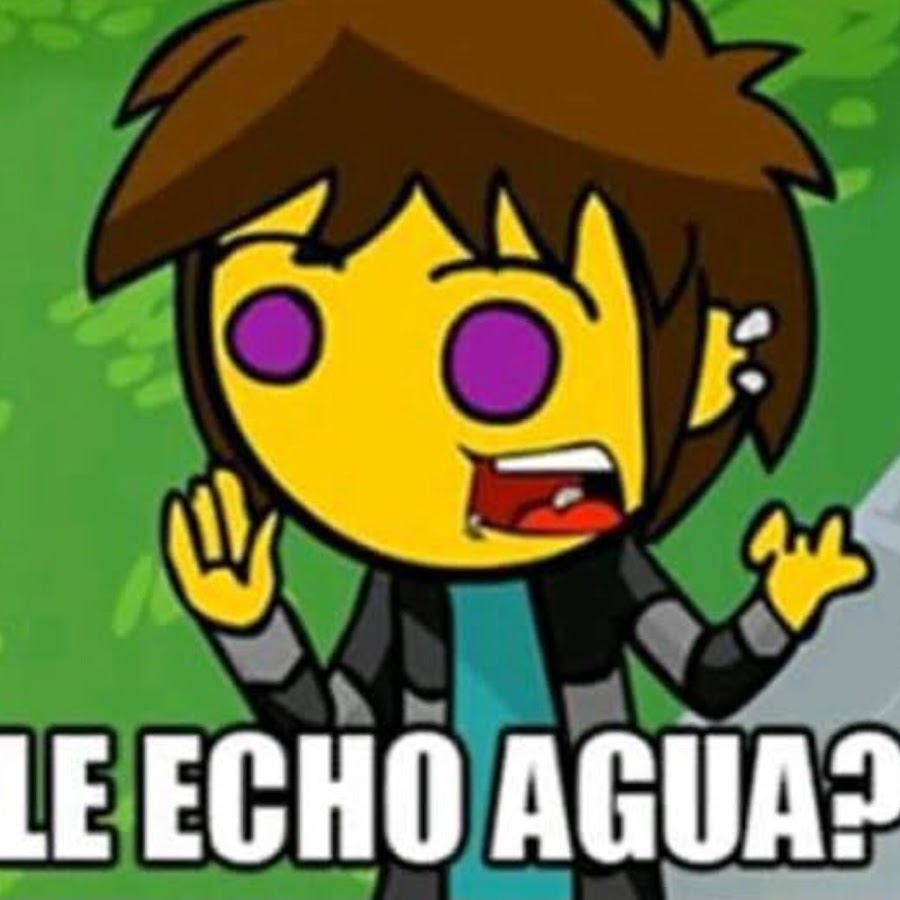 Le echo. Le echo