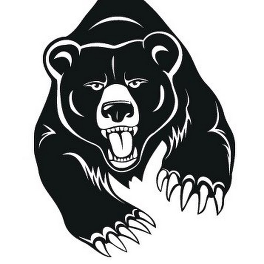 Белый медведь черно белый эскиз