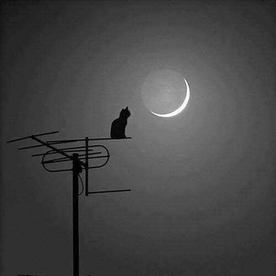 Одиночество среди людей цитаты. Мне так одиноко без тебя. Цитаты про одиноких людей. Мне плохо на душе. Не так было одиноко и.