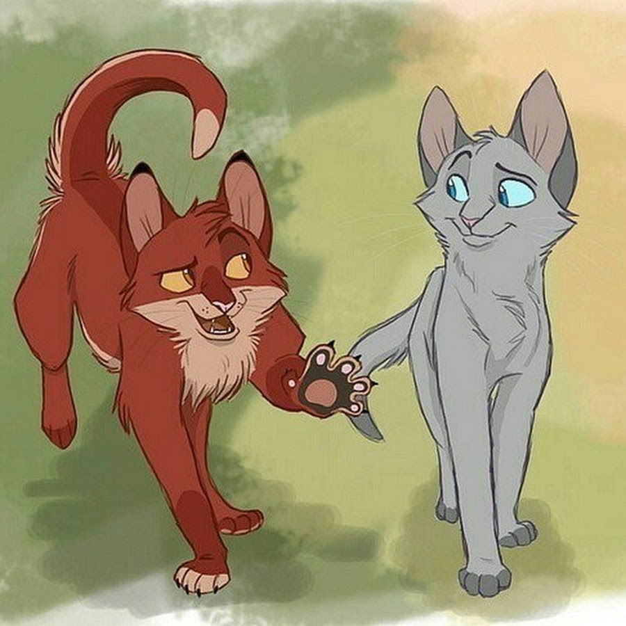 Коты воители рисунки пары