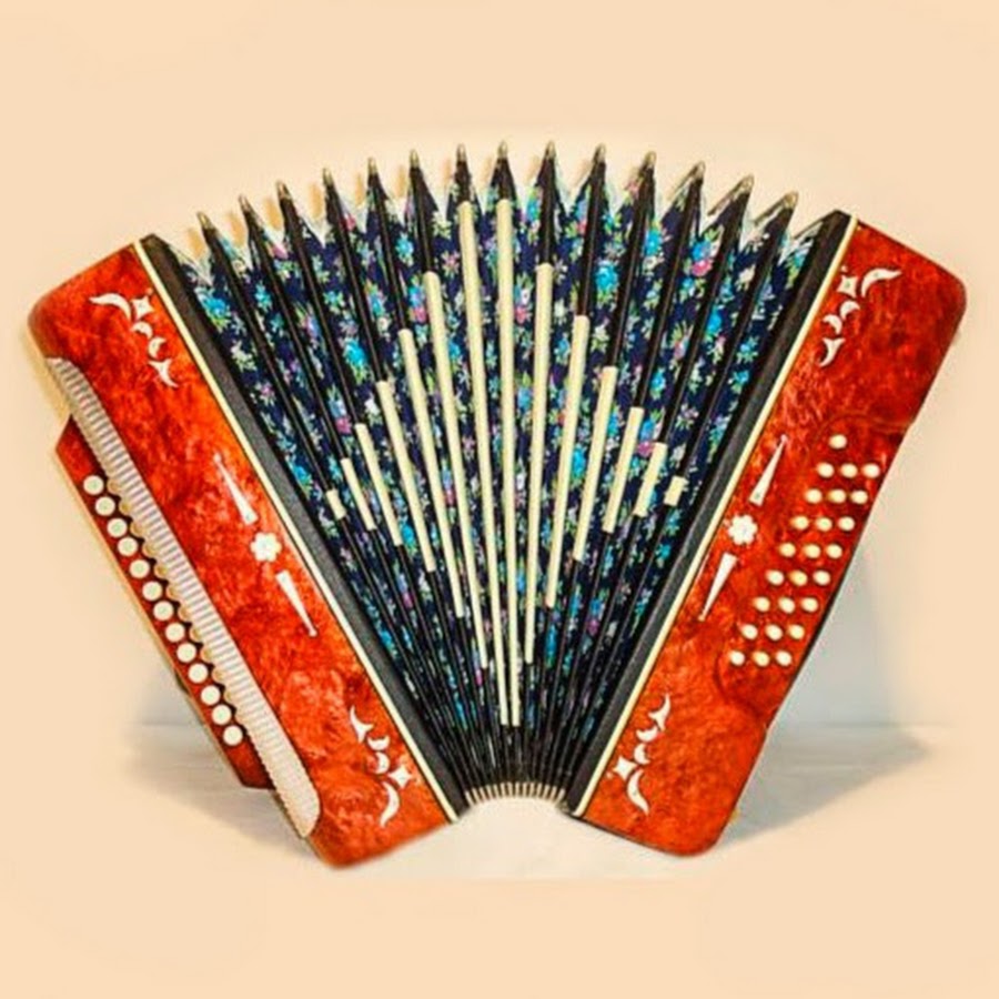 Саратовская гармонь музыкальный инструмент. Гармонь c41cl. Вятская гармонь хромки. Гармонь чайка 19х12. Баян русский народный инструмент.