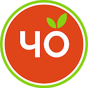 «Человеческий организм»