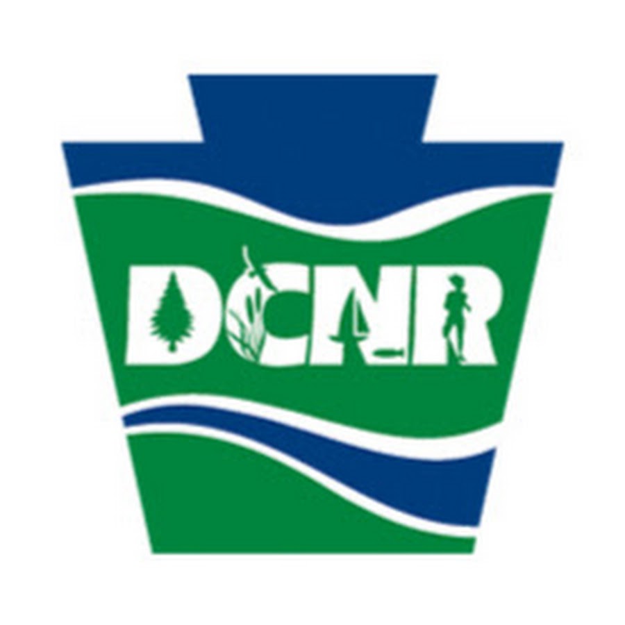 AKedOLQIz4VOpQupulTGLGDcKa4bLv_sKBjnBaHoasXOyQ=s900ckc0x00ffffffnorj