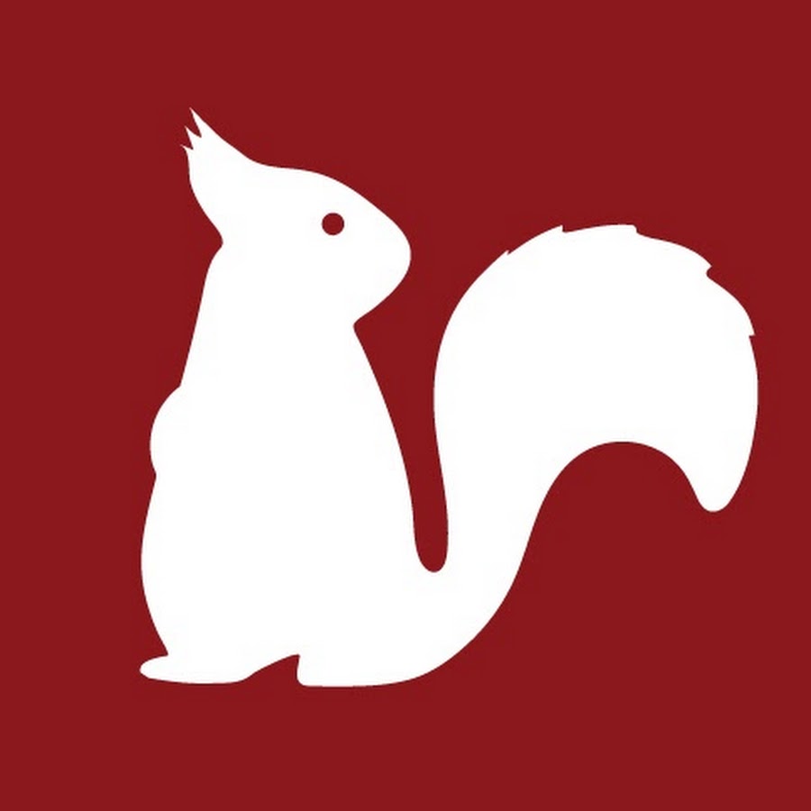 Squirrel programming. Флаг с белкой. Белка иконка. Белка на стену СССР. Липучка на стекло белка.