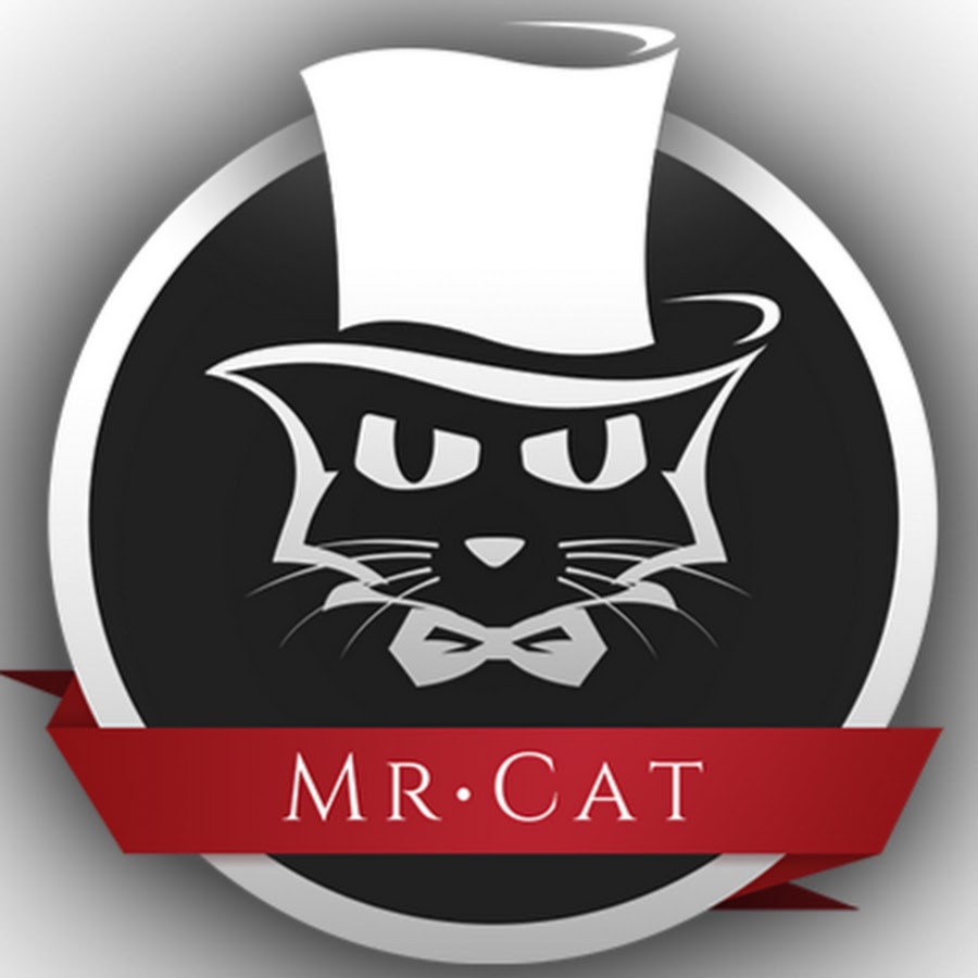 Mr Cat 猫先生 Youtube